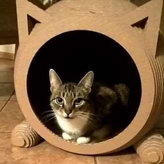 domek dla kota 3.jpg